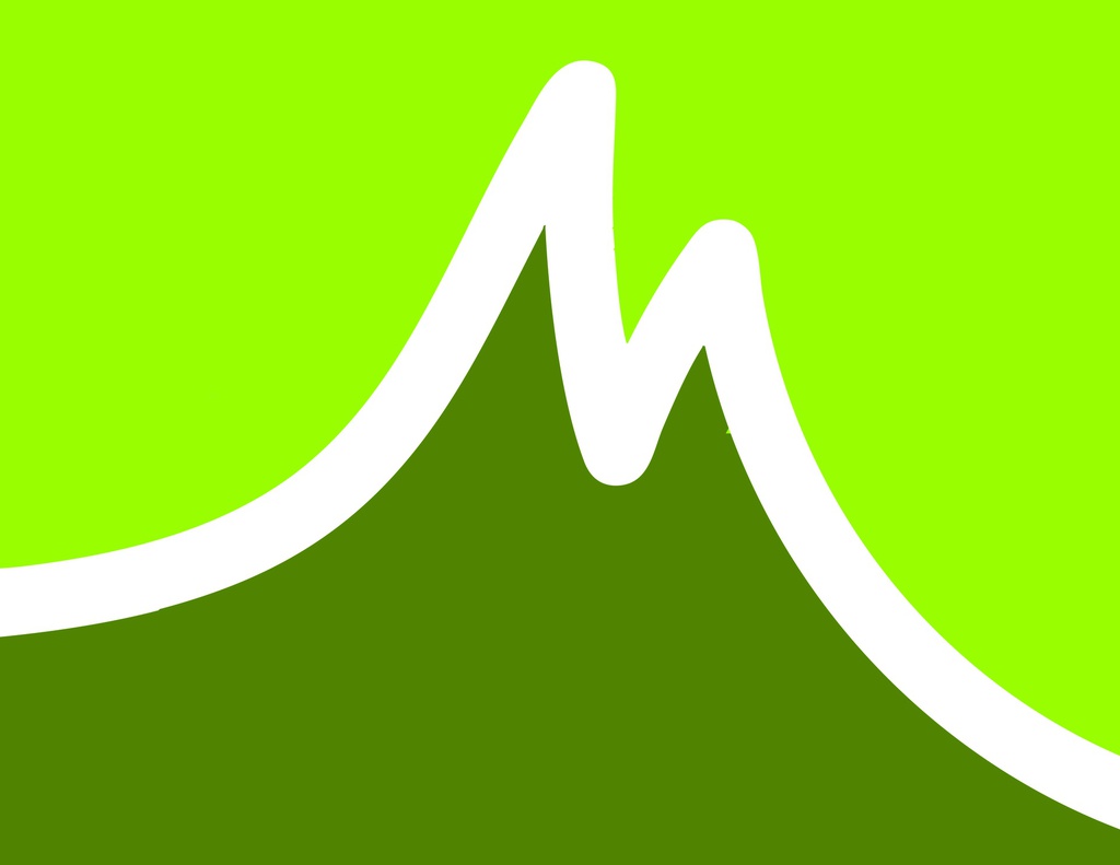 M - Forfait Ski 1 Jour DSF/SNTF/Monitorat